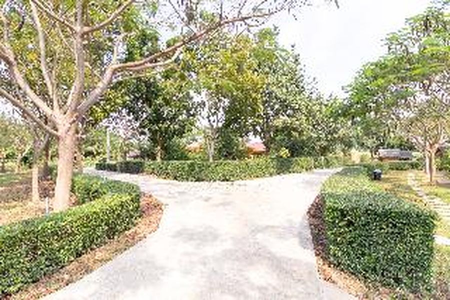 foto-3
