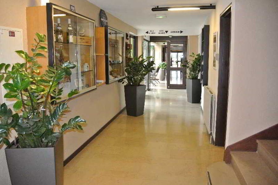 foto-2