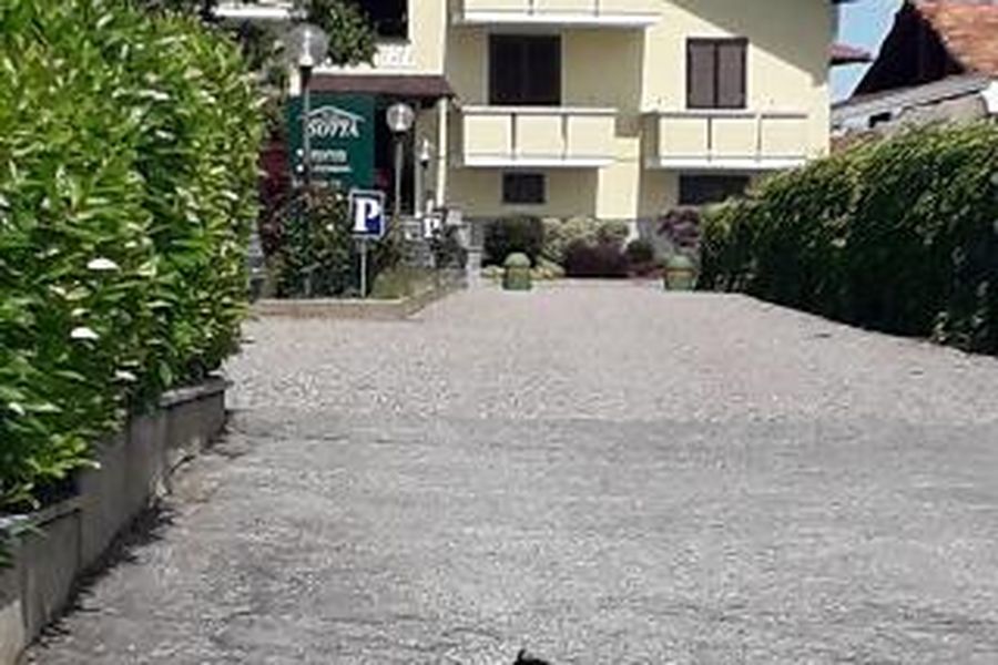 photo-2