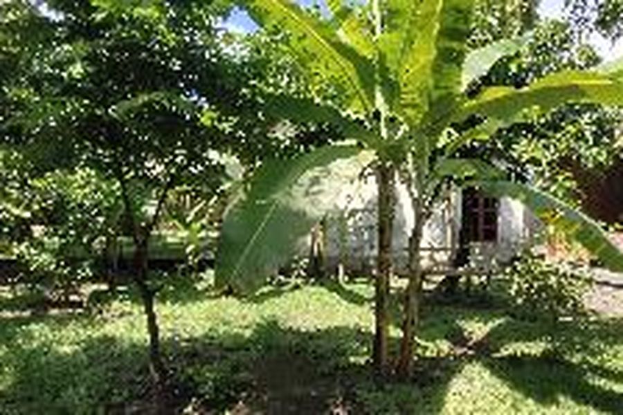foto-3