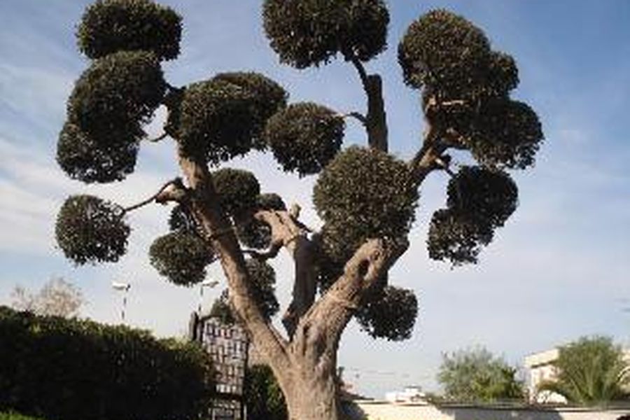 photo-1