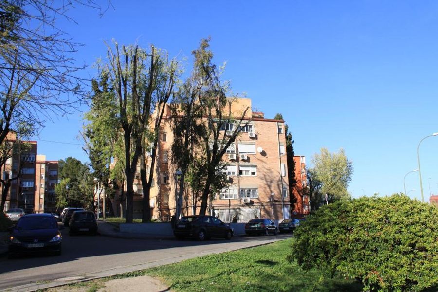 foto-0