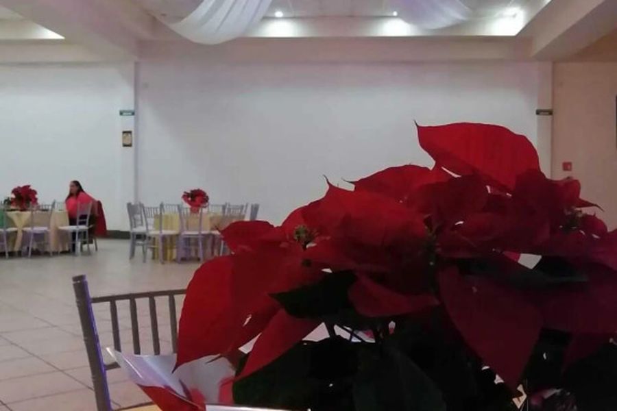 foto-3