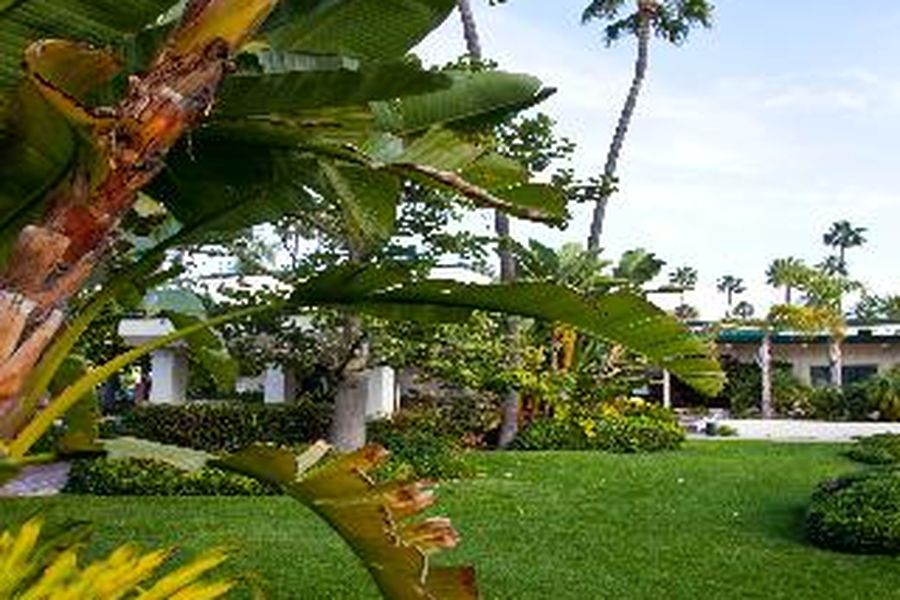 foto-2