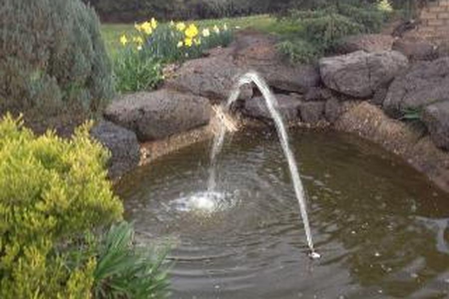 foto-2