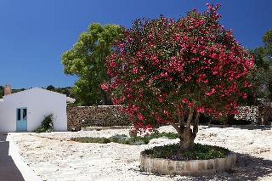 photo-1